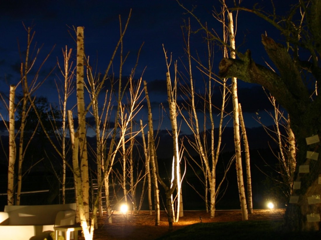 Gartenprojekt — Überraschend